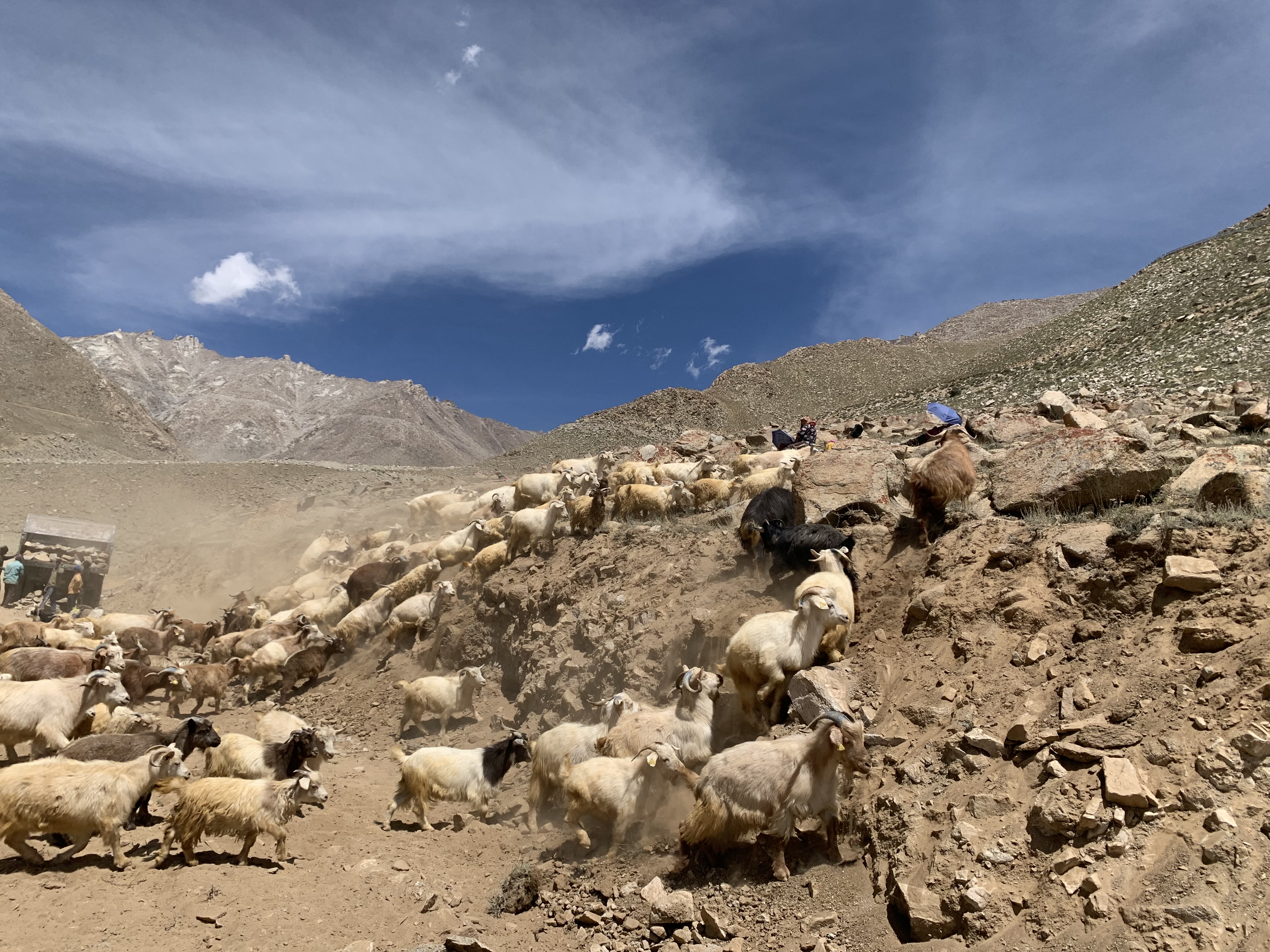 Ladakh 2